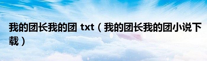 我的团长我的团 txt（我的团长我的团小说下载）