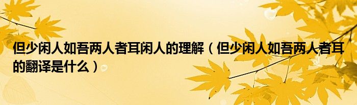 但少闲人如吾两人者耳闲人的理解（但少闲人如吾两人者耳的翻译是什么）