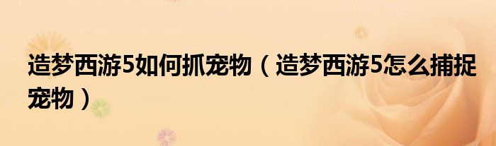 造梦西游5如何抓宠物（造梦西游5怎么捕捉宠物）