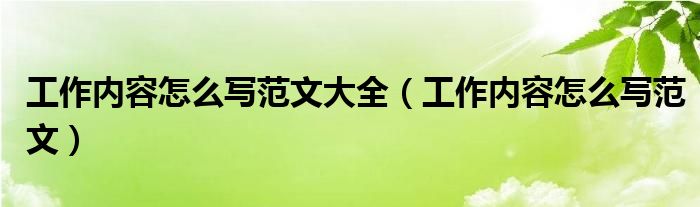 工作内容怎么写范文大全（工作内容怎么写范文）