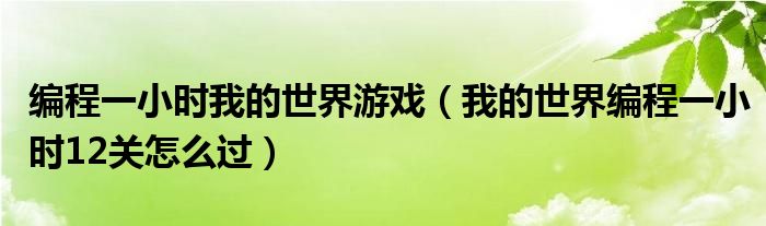 编程一小时我的世界游戏（我的世界编程一小时12关怎么过）