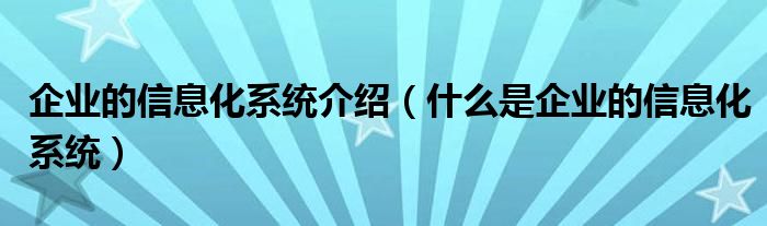 企业的信息化系统介绍（什么是企业的信息化系统）