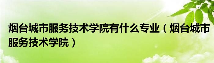 烟台城市服务技术学院有什么专业（烟台城市服务技术学院）