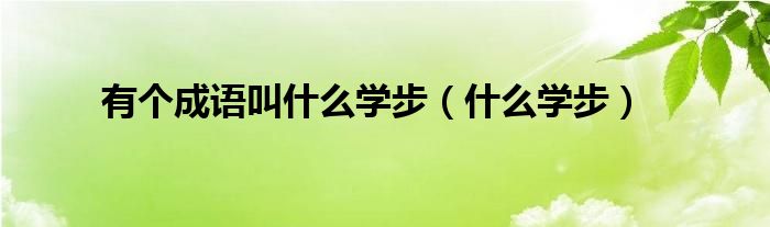 有个成语叫什么学步（什么学步）