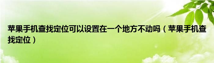 苹果手机查找定位可以设置在一个地方不动吗（苹果手机查找定位）