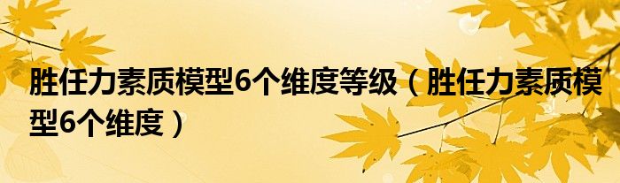 胜任力素质模型6个维度等级（胜任力素质模型6个维度）