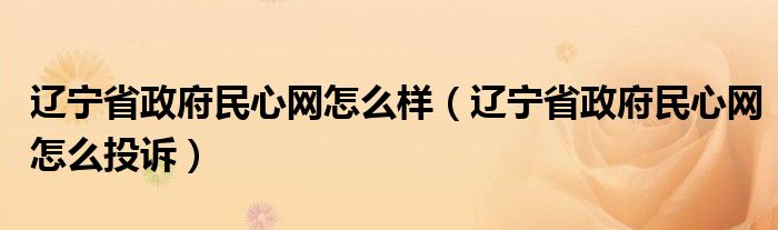 辽宁省政府民心网怎么样（辽宁省政府民心网怎么投诉）