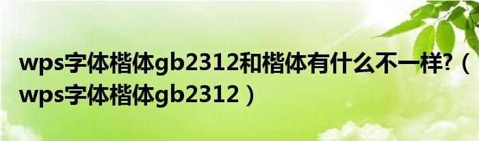 wps字体楷体gb2312和楷体有什么不一样?（wps字体楷体gb2312）