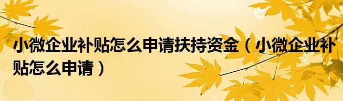 小微企业补贴怎么申请扶持资金（小微企业补贴怎么申请）