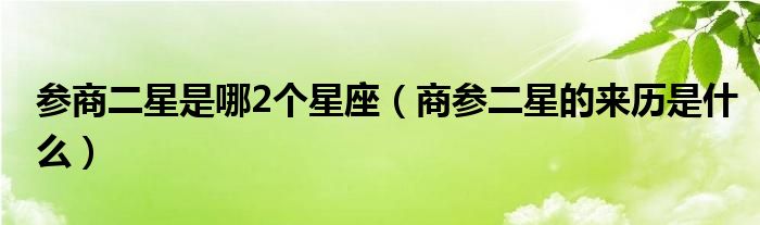 参商二星是哪2个星座（商参二星的来历是什么）