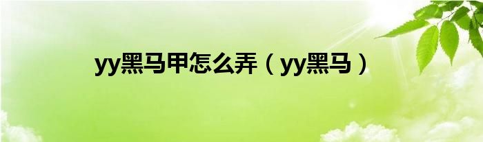 yy黑马甲怎么弄（yy黑马）