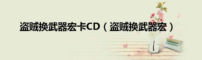 盗贼换武器宏卡CD（盗贼换武器宏）