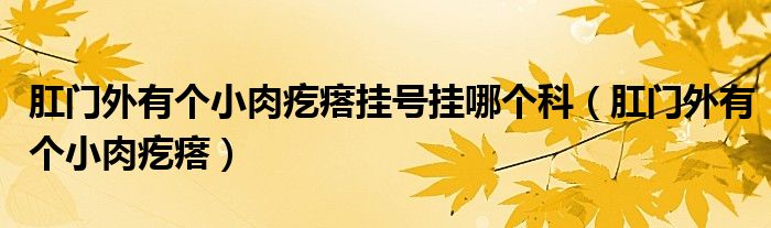 肛门外有个小肉疙瘩挂号挂哪个科（肛门外有个小肉疙瘩）