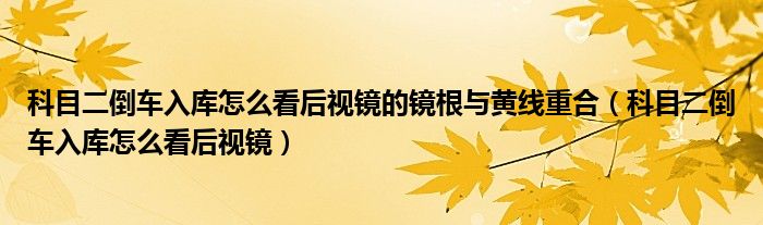 科目二倒车入库怎么看后视镜的镜根与黄线重合（科目二倒车入库怎么看后视镜）