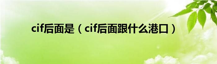 cif后面是（cif后面跟什么港口）