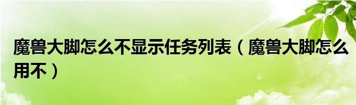 魔兽大脚怎么不显示任务列表（魔兽大脚怎么用不）