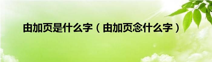 由加页是什么字（由加页念什么字）