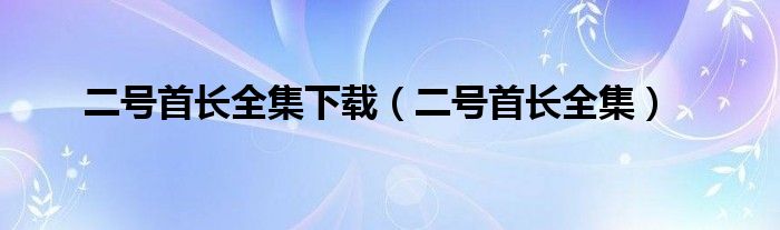 二号首长全集下载（二号首长全集）