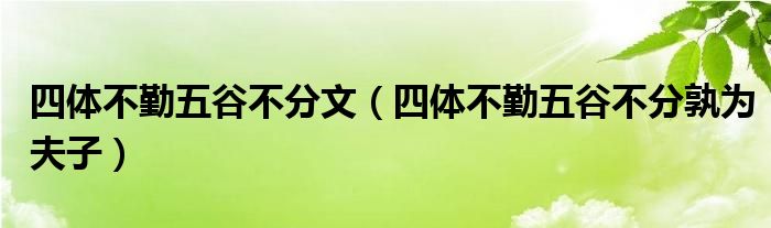 四体不勤五谷不分文（四体不勤五谷不分孰为夫子）