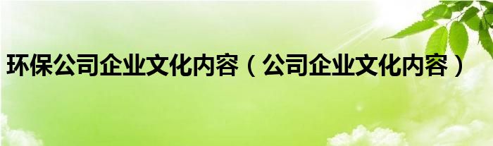 环保公司企业文化内容（公司企业文化内容）