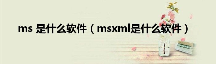 ms 是什么软件（msxml是什么软件）