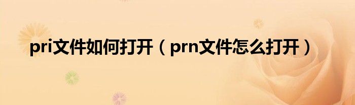 pri文件如何打开（prn文件怎么打开）