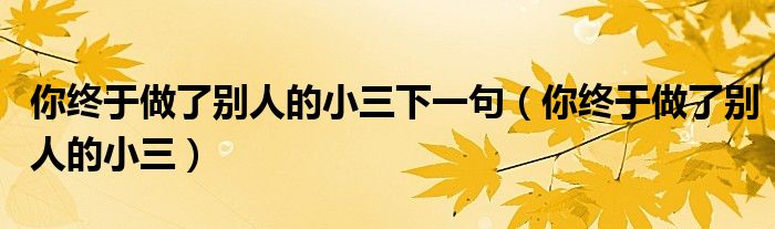 你终于做了别人的小三下一句（你终于做了别人的小三）