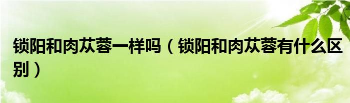 锁阳和肉苁蓉一样吗（锁阳和肉苁蓉有什么区别）