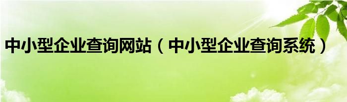 中小型企业查询网站（中小型企业查询系统）