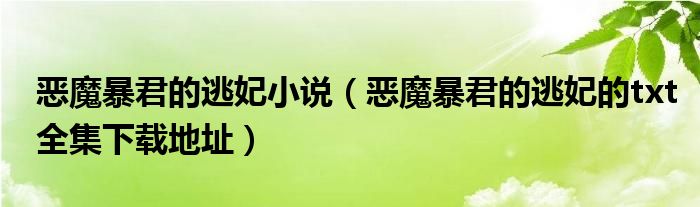 恶魔暴君的逃妃小说（恶魔暴君的逃妃的txt全集下载地址）