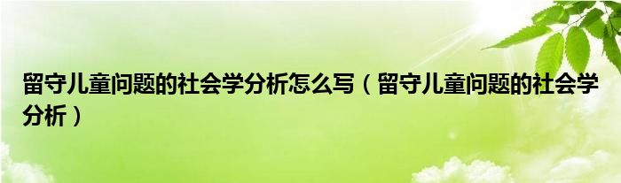 留守儿童问题的社会学分析怎么写（留守儿童问题的社会学分析）