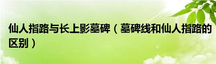 仙人指路与长上影墓碑（墓碑线和仙人指路的区别）