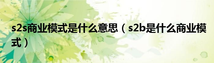 s2s商业模式是什么意思（s2b是什么商业模式）