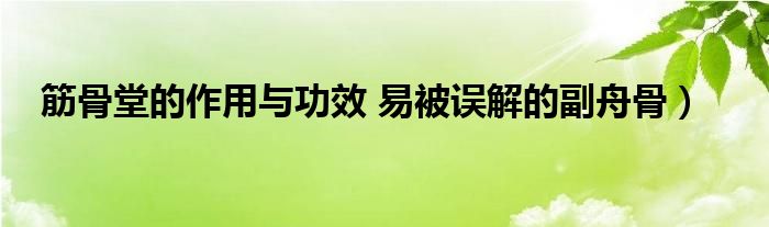 筋骨堂的作用与功效 易被误解的副舟骨）