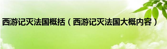 西游记灭法国概括（西游记灭法国大概内容）