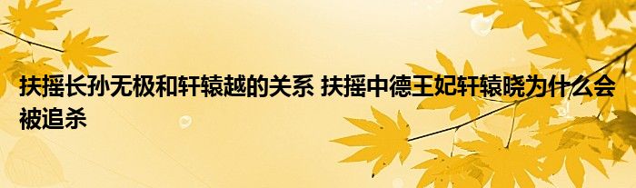 扶摇长孙无极和轩辕越的关系 扶摇中德王妃轩辕晓为什么会被追杀