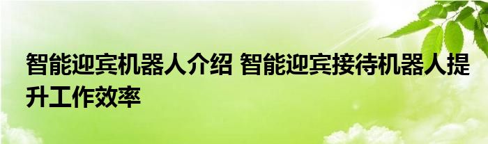 智能迎宾机器人介绍 智能迎宾接待机器人提升工作效率