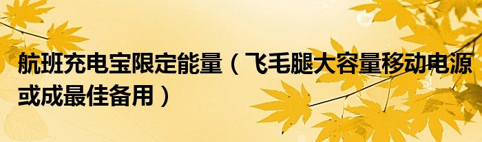 航班充电宝限定能量（飞毛腿大容量移动电源或成最佳备用）