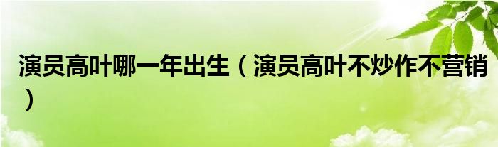 演员高叶哪一年出生（演员高叶不炒作不营销）