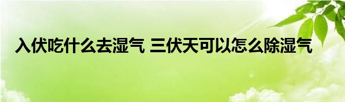 入伏吃什么去湿气 三伏天可以怎么除湿气