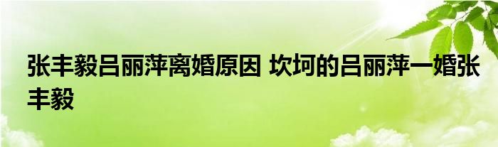 张丰毅吕丽萍离婚原因 坎坷的吕丽萍一婚张丰毅