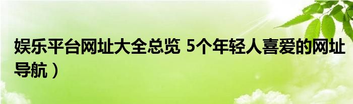 娱乐平台网址大全总览 5个年轻人喜爱的网址导航）