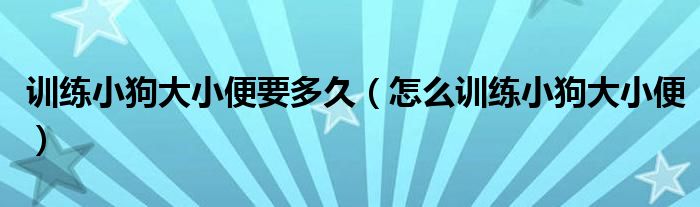 训练小狗大小便要多久（怎么训练小狗大小便）