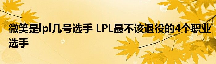 微笑是lpl几号选手 LPL最不该退役的4个职业选手