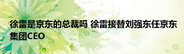 徐雷是京东的总裁吗 徐雷接替刘强东任京东集团CEO