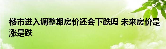 楼市进入调整期房价还会下跌吗 未来房价是涨是跌