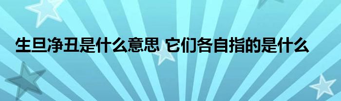 生旦净丑是什么意思 它们各自指的是什么