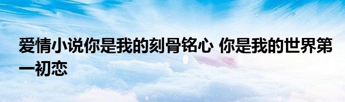 爱情小说你是我的刻骨铭心 你是我的世界第一初恋