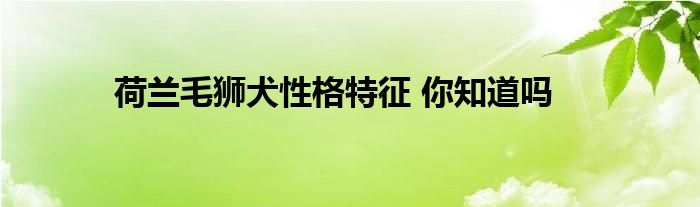 荷兰毛狮犬性格特征 你知道吗