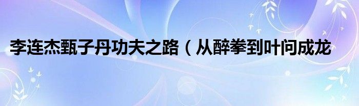 李连杰甄子丹功夫之路（从醉拳到叶问成龙